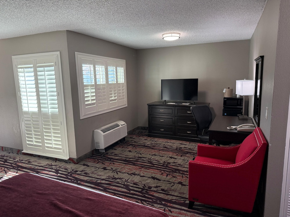 1 Queen Bed - Photo 3