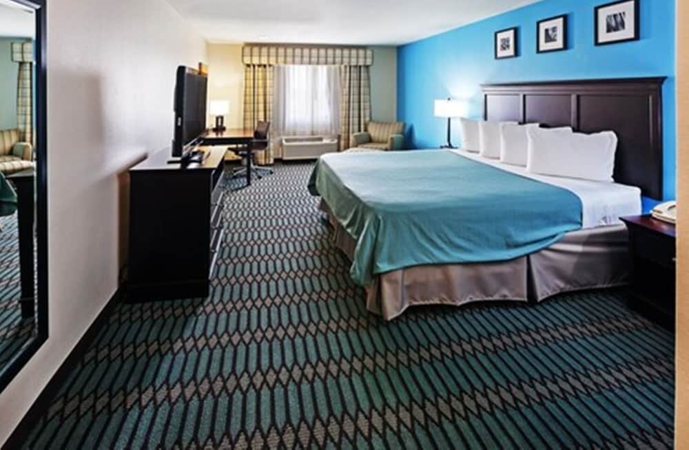 Room, 1 King Bed, Non Smoking photo 3