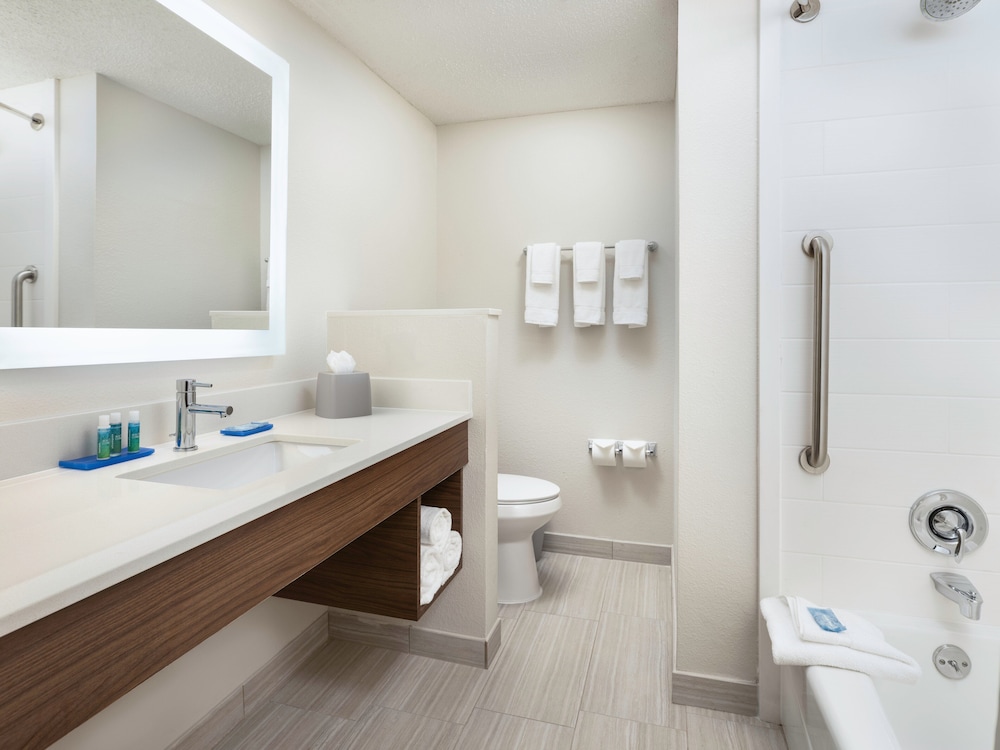 Suite, 1 Bedroom - Photo 4