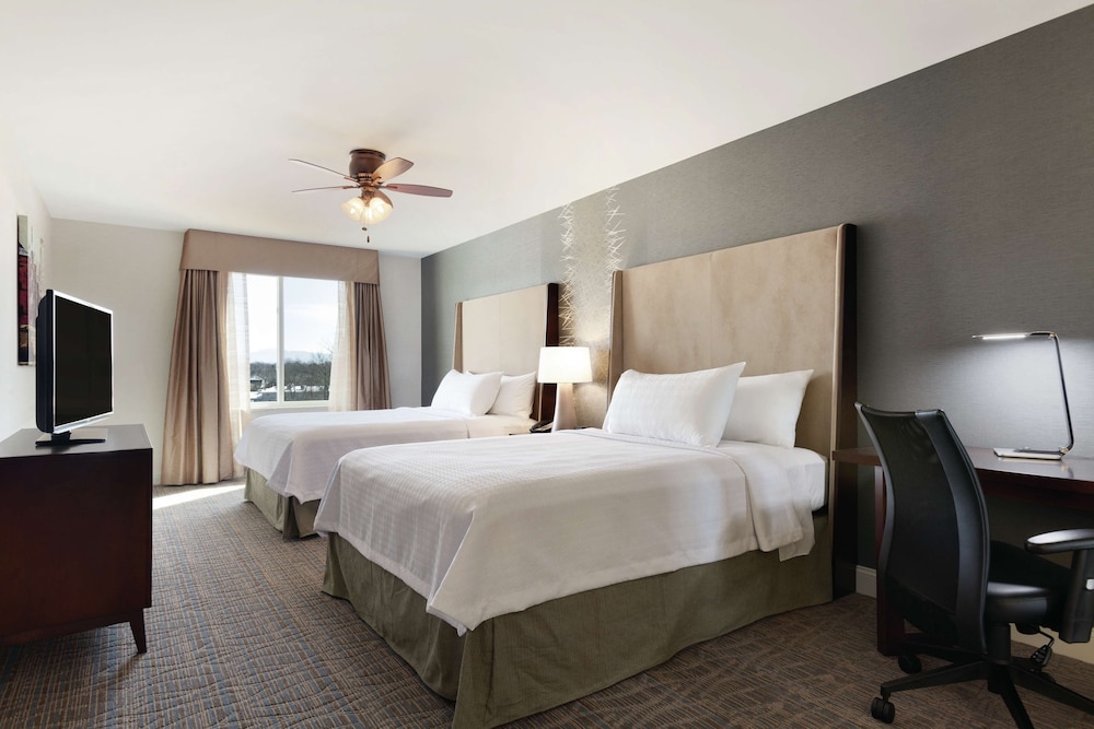 Suite, 1 Bedroom