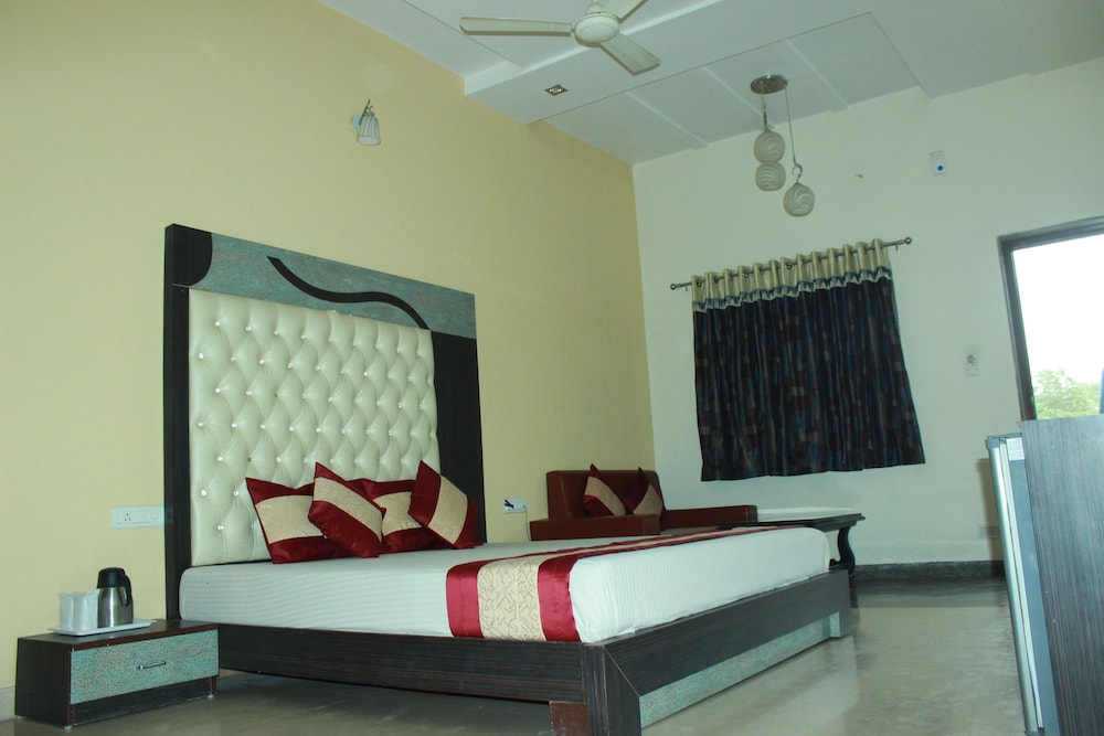 Deluxe non AC KANAK Room - Photo 10