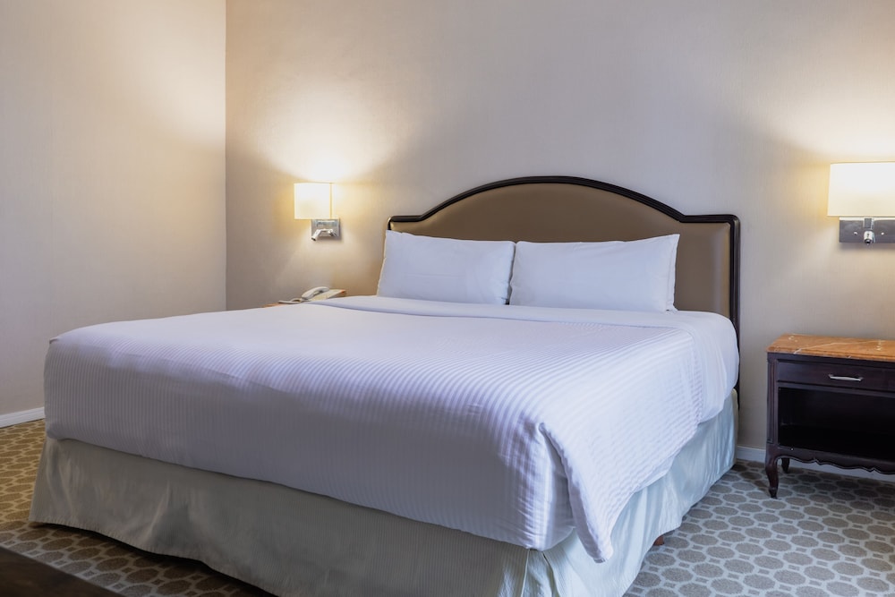 Superior Room, 1 King Bed photo 1