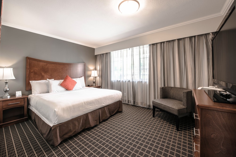 Executive Suite, 1 Bedroom, Kitchen, City View photo 2