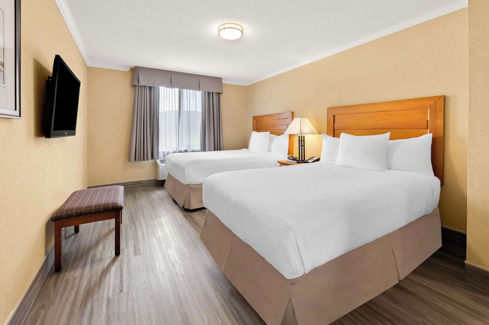 Suite, 2 Double Beds, Non Smoking, Refrigerator & Microwave (Living Room;with Sofabed) photo 1
