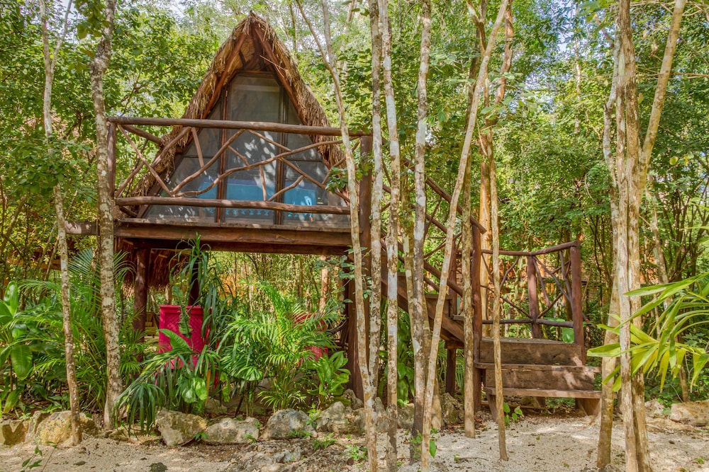 Basic Cabin photo 1