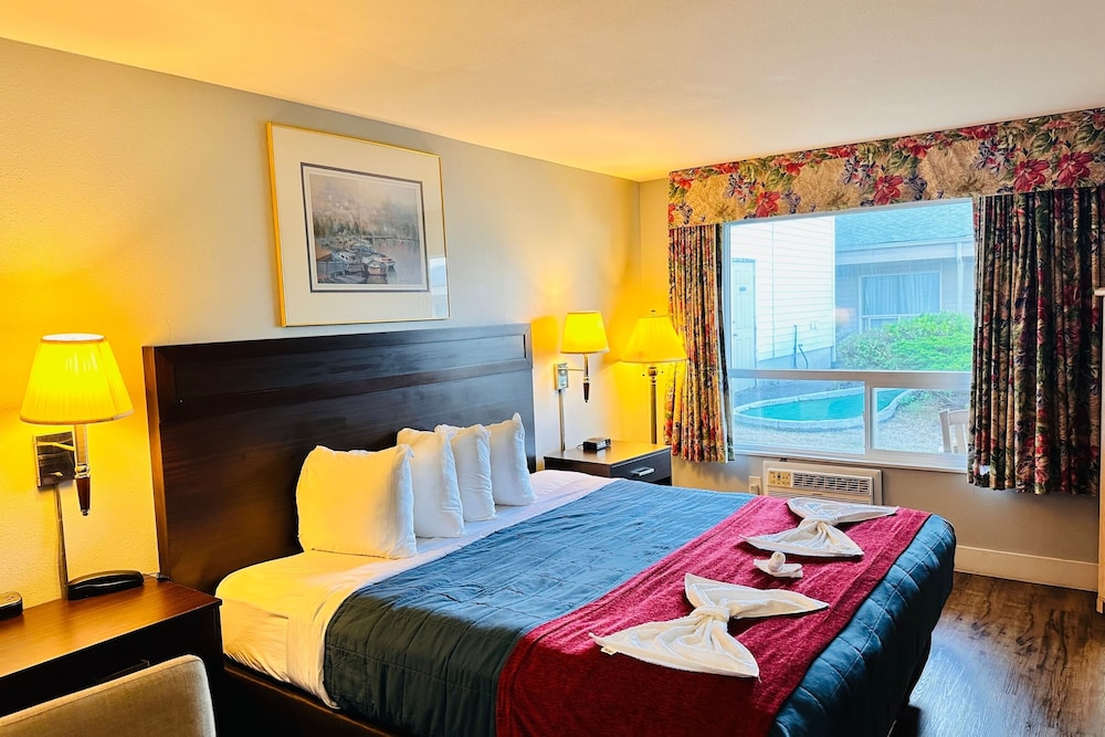 Room, 1 King Bed, Non Smoking Pet Room