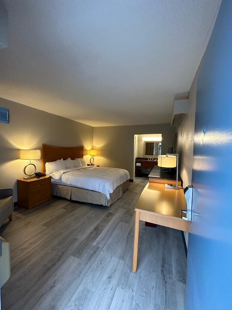 Standard Single Room photo 1