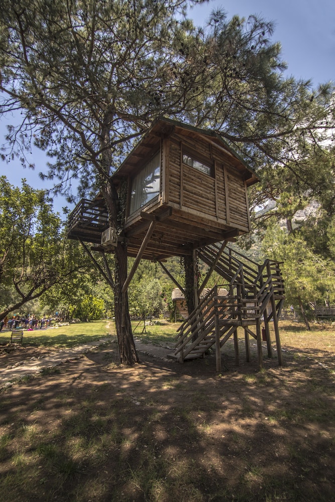 Tree House photo 2