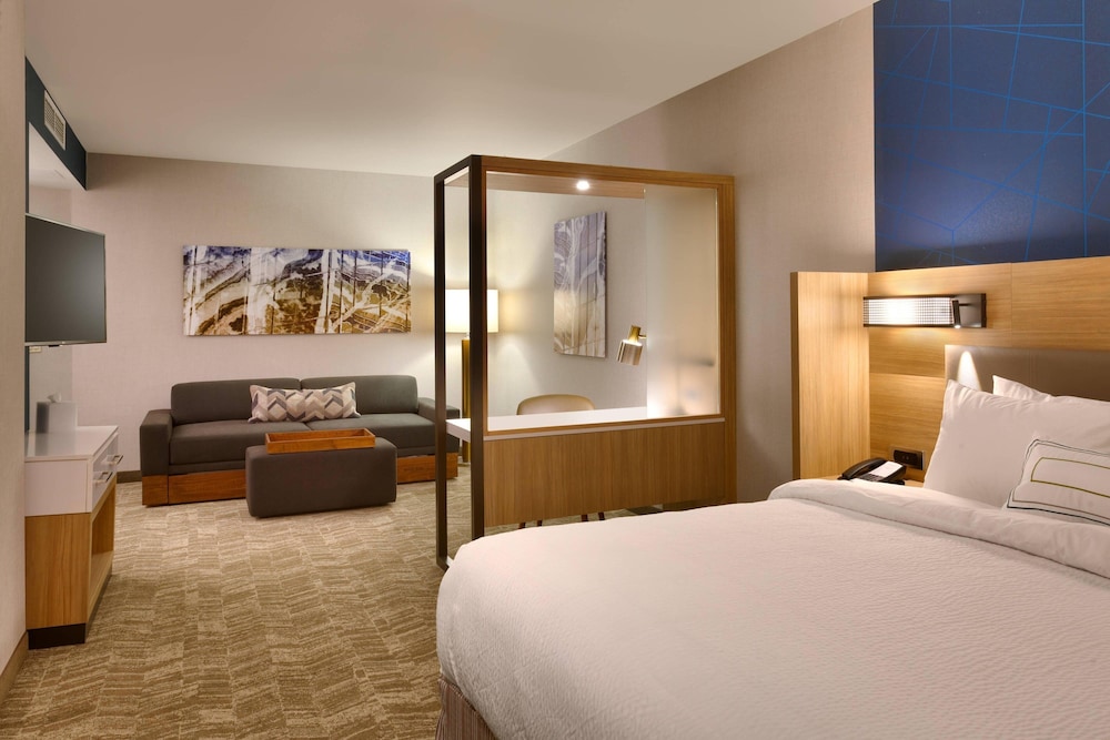 Studio, 1 King Bed with Sofa bed