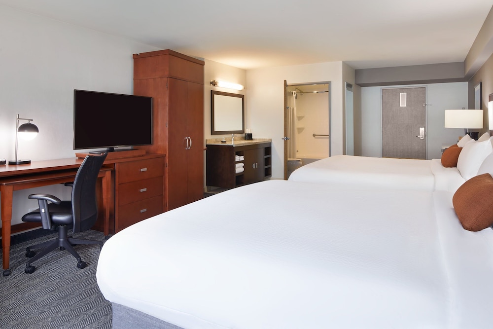 Room, Multiple Beds