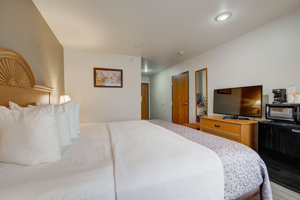 Room, 1 King Bed, Accessible, Non Smoking