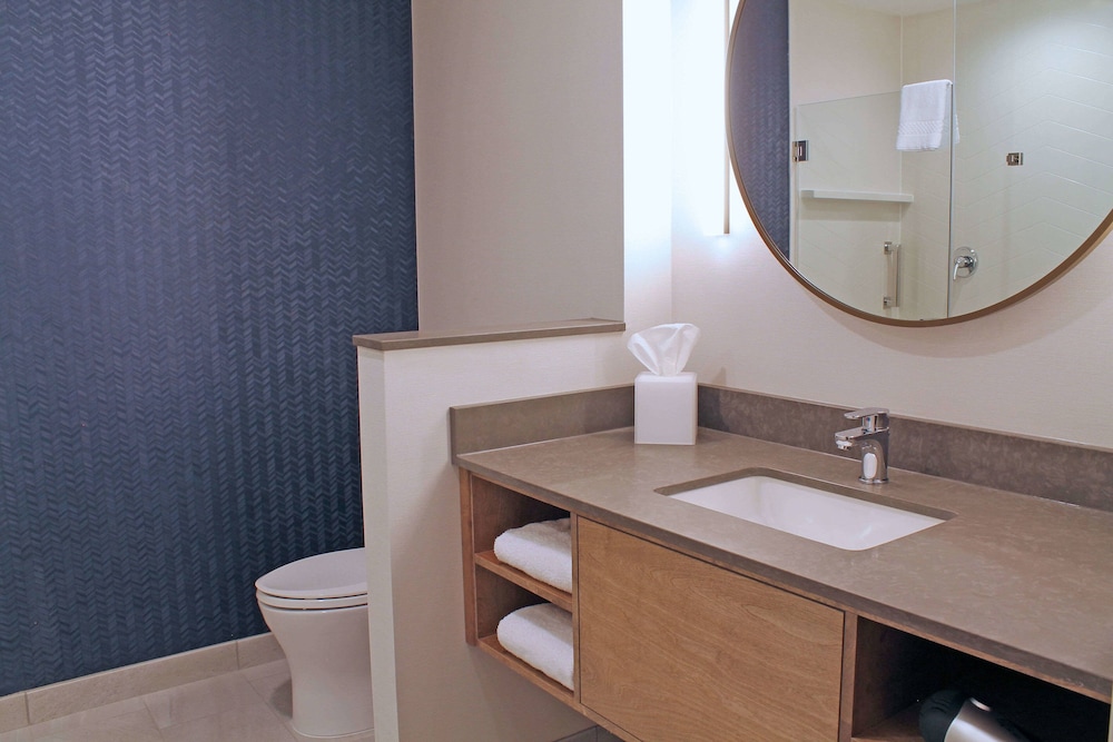 Suite, 1 King Bed with Sofa bed (Hearing Accessible) - Photo 6