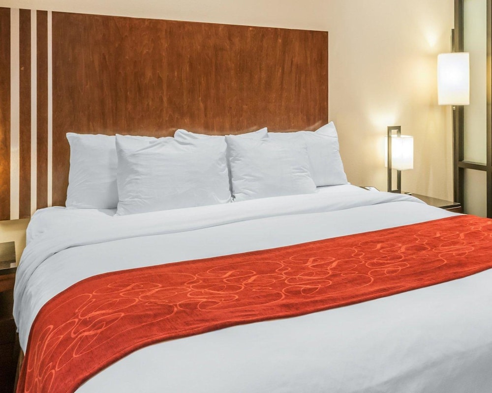 Suite, 1 King Bed with Sofa bed, Non Smoking photo 2