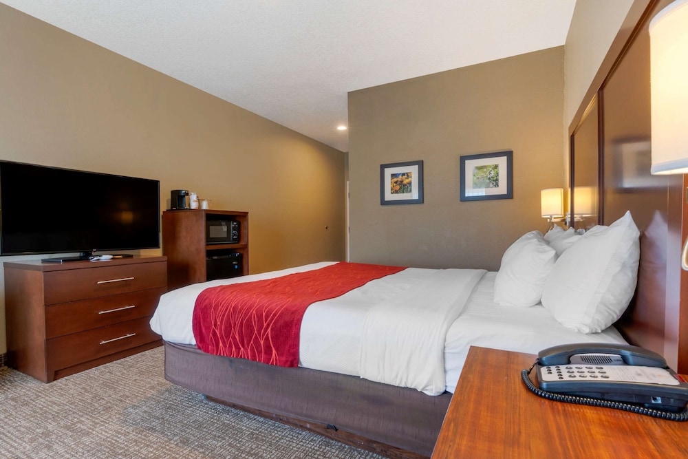 Room, 1 King Bed, Accessible, Non Smoking (Mobility, Roll-In Shower) - Photo 4