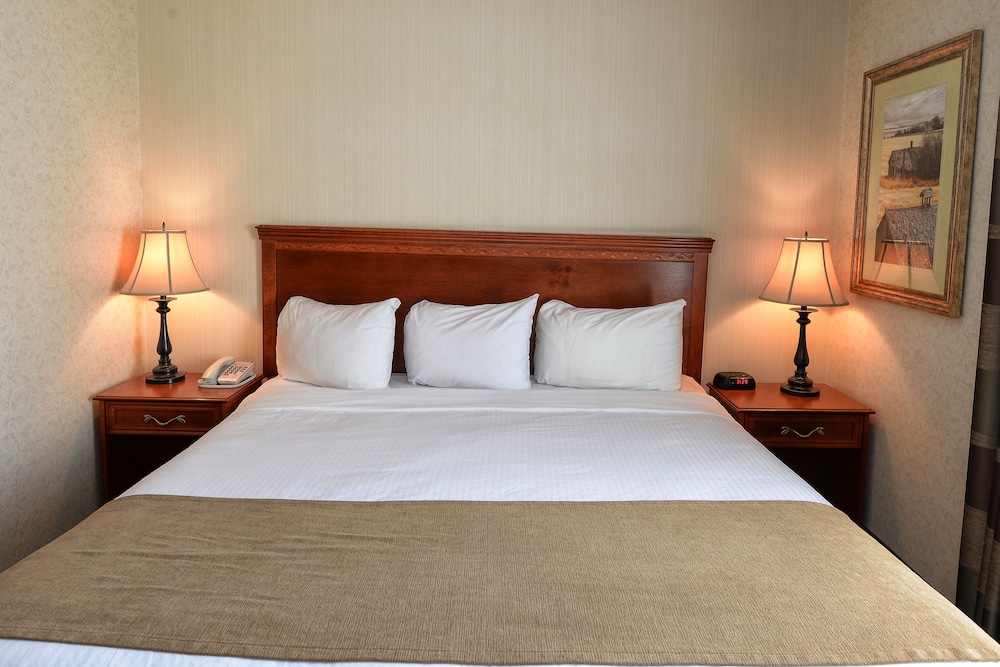 Efficiency, Suite, 1 King Bed with Sofa bed, Non Smoking - Photo 1