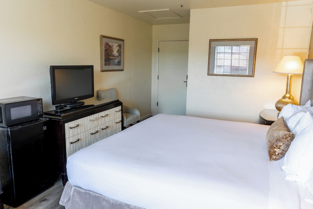 Economy Room, 1 King Bed - Photo 3