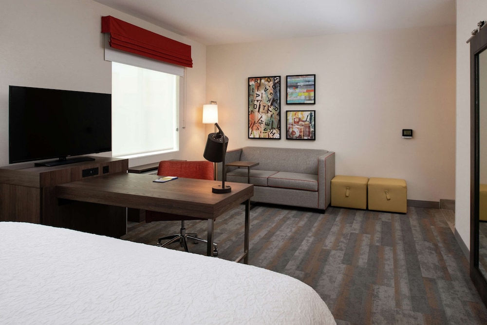Studio Suite, 1 King Bed with Sofa bed, Accessible (Roll-In Shower)