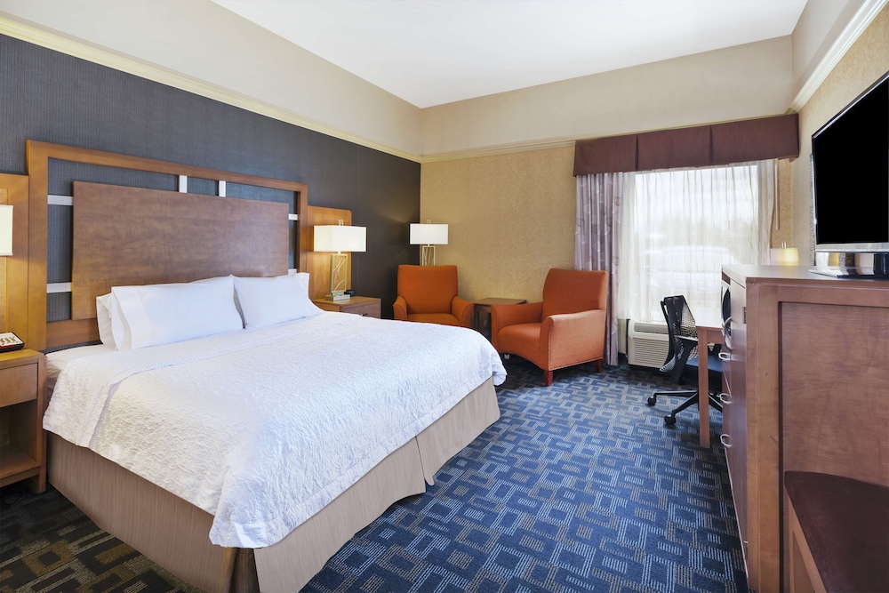 Room, 1 King Bed, Accessible - Photo 3