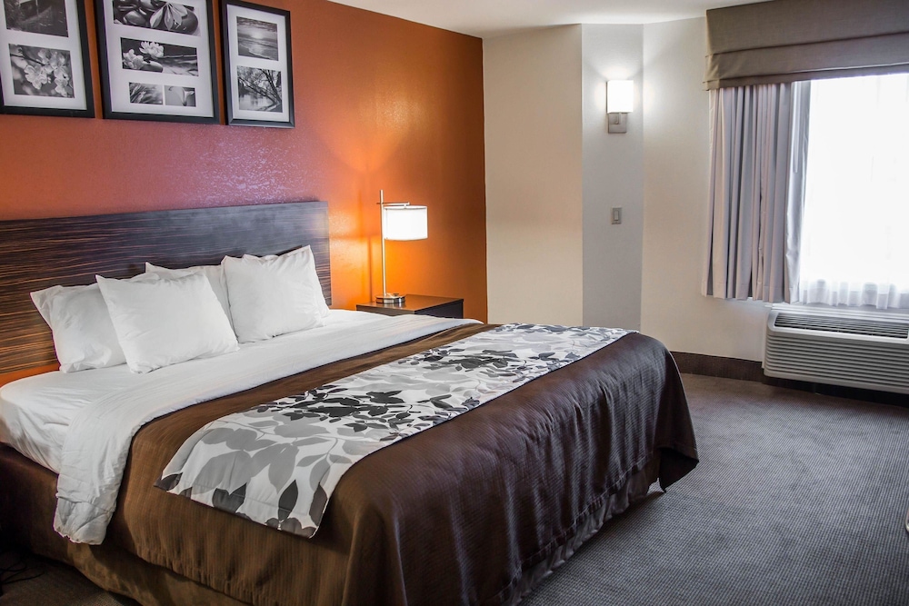 Room, 1 Queen Bed, Non Smoking