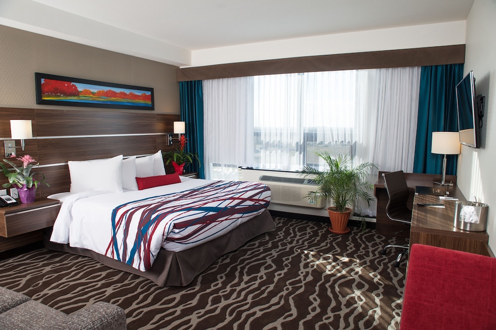 Standard Room, 1 King Bed with Sofa bed, Kitchenette photo 1