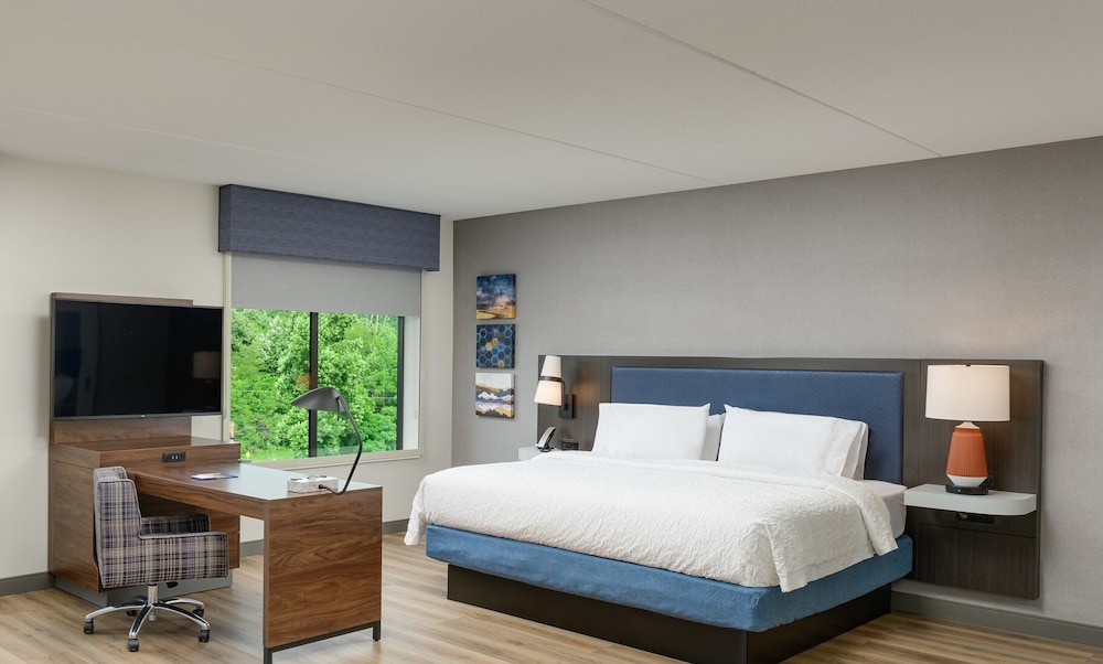 Room, 1 King Bed, Accessible, Bathtub (View) - Photo 1