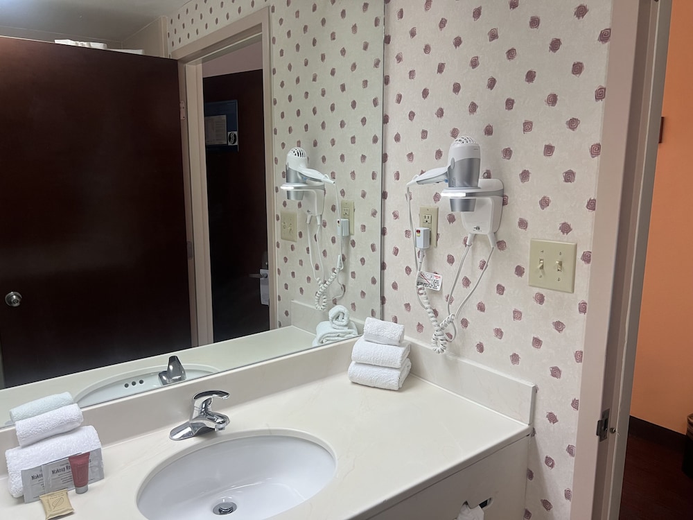 Orlando Palms Hotel, 사진 4