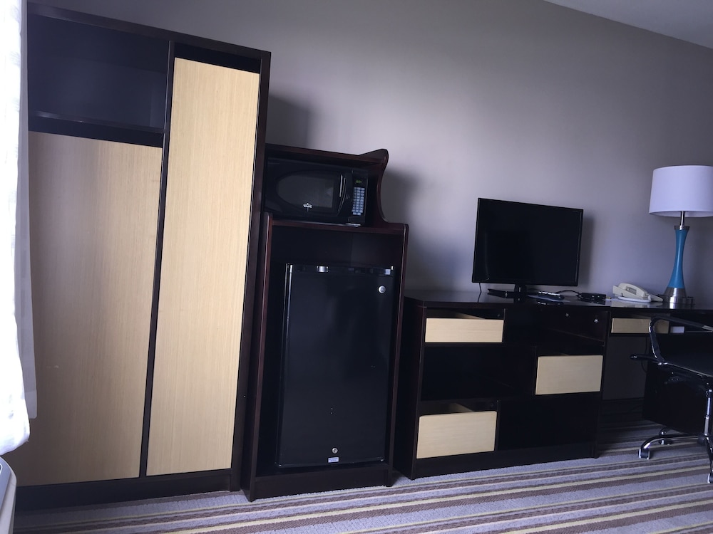 Standard Room, 1 King Bed, Accessible