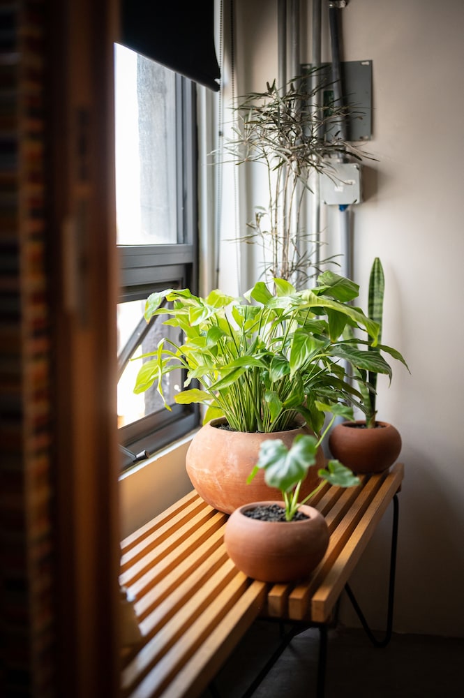 Suite - Photo 21