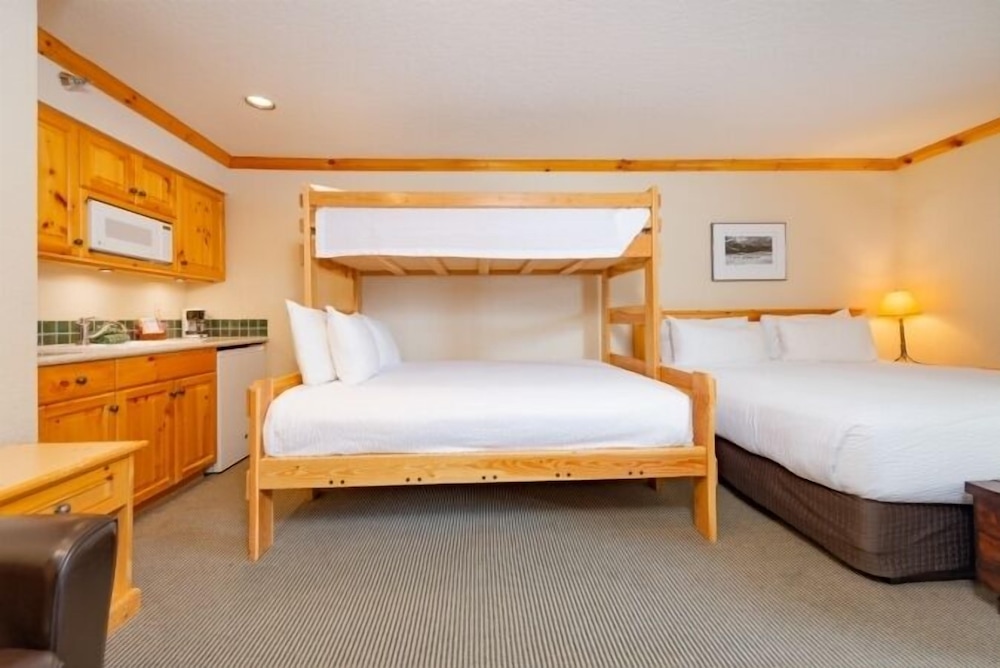 Room, Multiple Beds (Selkirk) photo 3