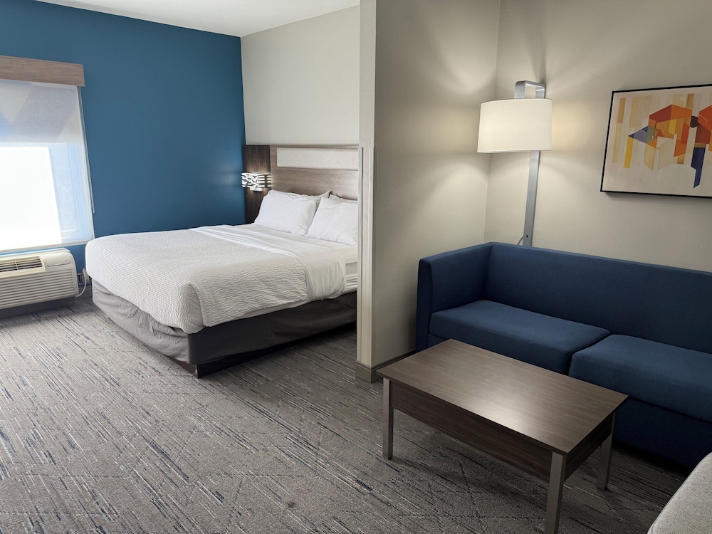 Suite, 1 King Bed - Photo 1