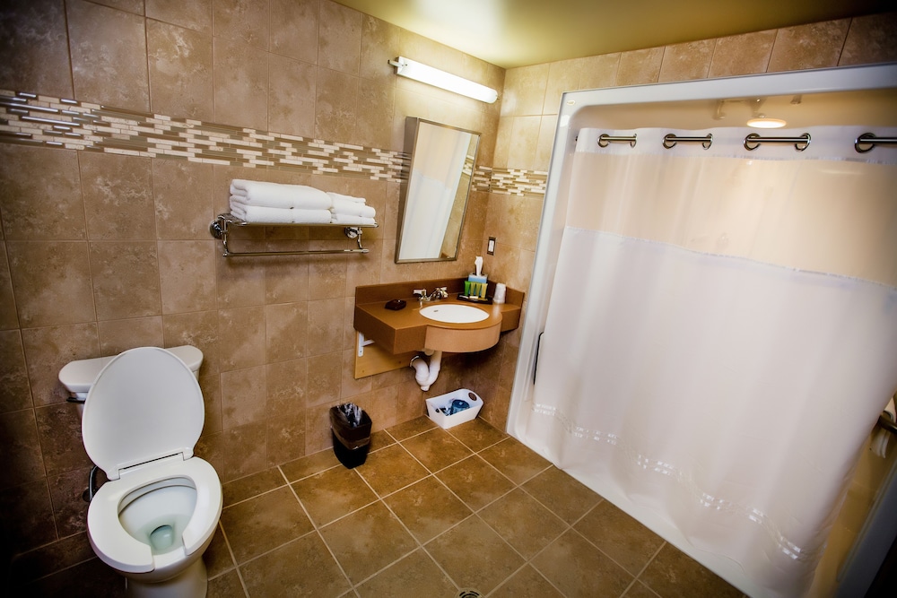 Standard Suite, 1 King Bed, Accessible photo 2