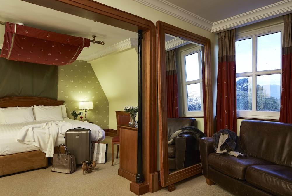 Suite - Photo 1