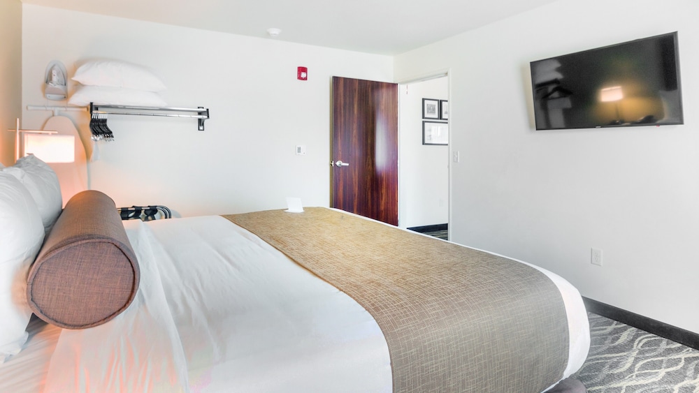 Suite, 1 King Bed, with Sofa Bed, Audible/Visual Alert, Non Smoking - Photo 4