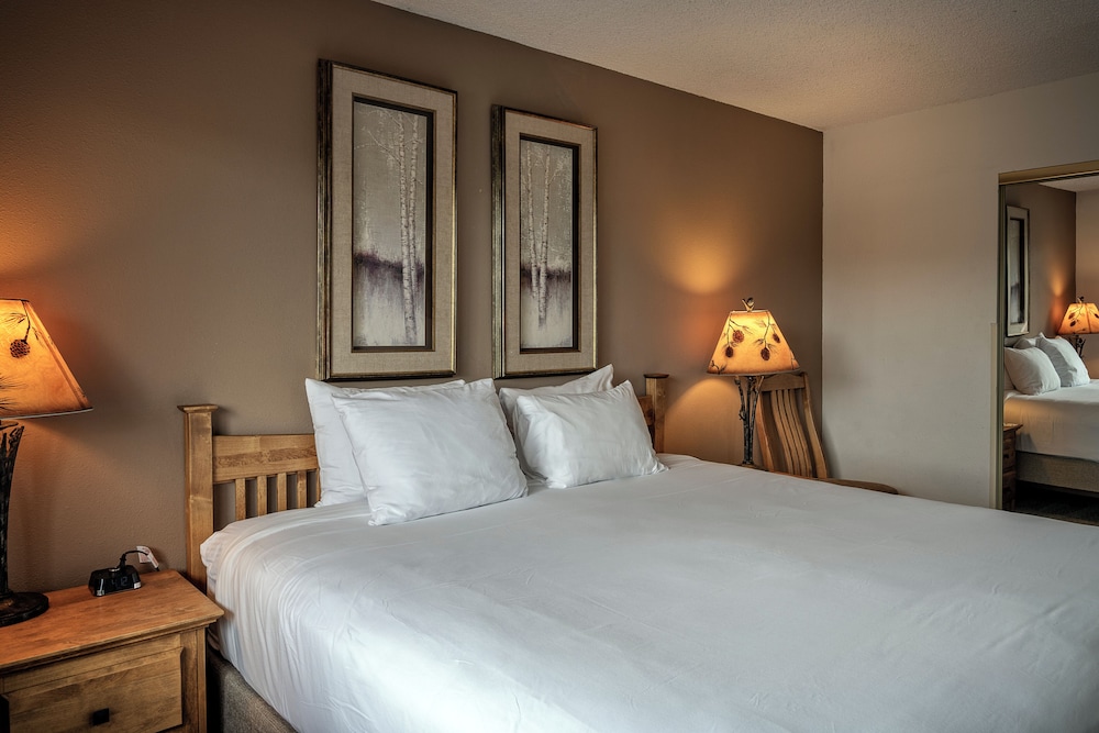 Suite, 1 Bedroom - Photo 3
