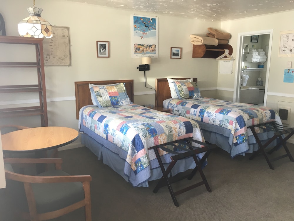 Standard Single Room, Multiple Beds, Non Smoking photo 3