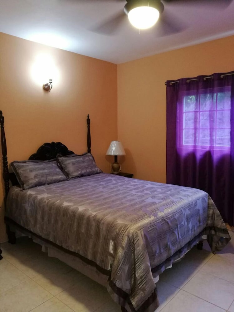 Executive Apartment, 1 Bedroom, Kitchen, City View photo 1