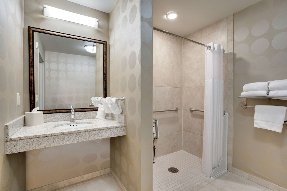 Room, 1 King Bed, Accessible (Roll-in Shower) - Photo 5