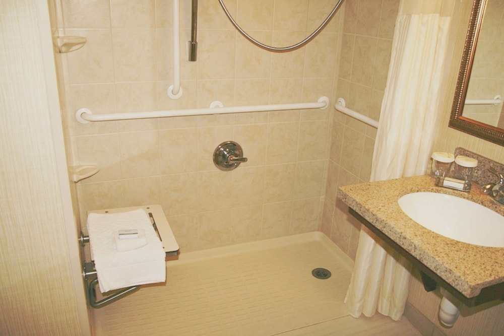 Room, 1 King Bed, Accessible (Roll-In Shower, Hearing) - Photo 3