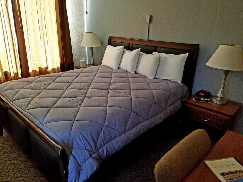 Room, 1 King Bed, Non Smoking, Refrigerator & Microwave photo 1
