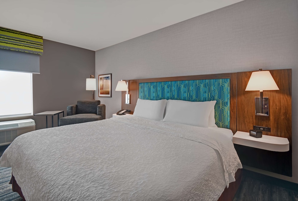 Room, 1 King Bed, Accessible, Non Smoking (Mobility&Hearing, 3x3Shower) - Photo 2