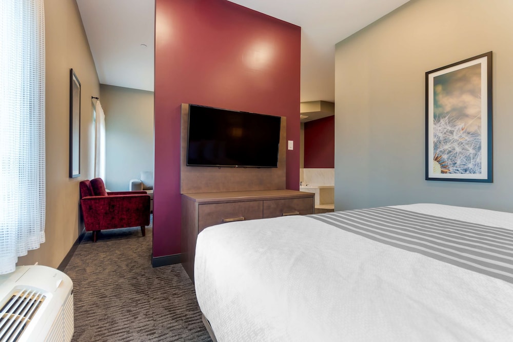 Suite, 1 King Bed, Non Smoking, Jetted Tub (Shower Only;with Sofabed) - Photo 3