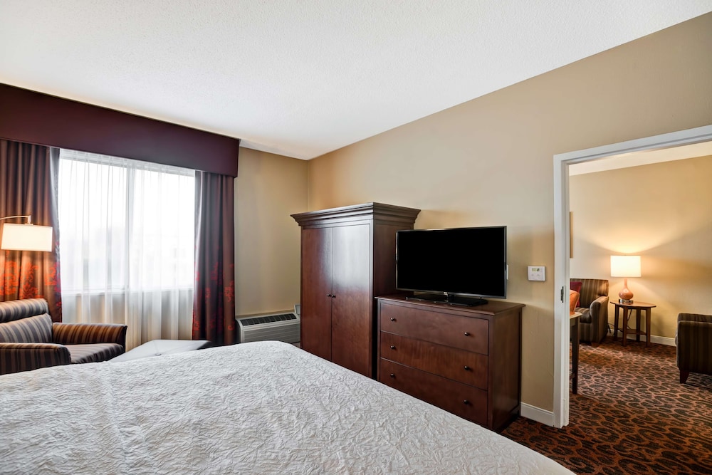 Suite, 1 King Bed, Accessible, Non Smoking (Hearing Impaired) - Photo 3