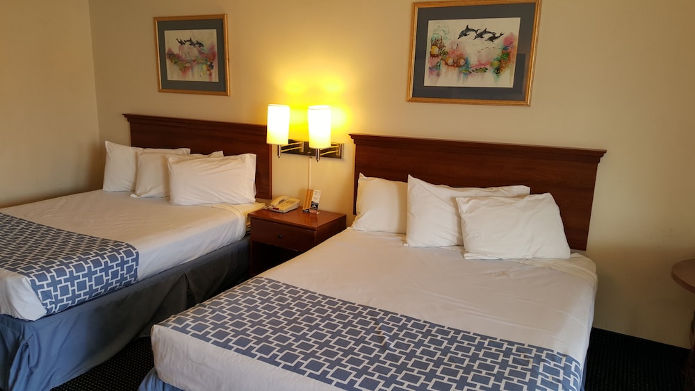 Family Double Room Single Use photo 2