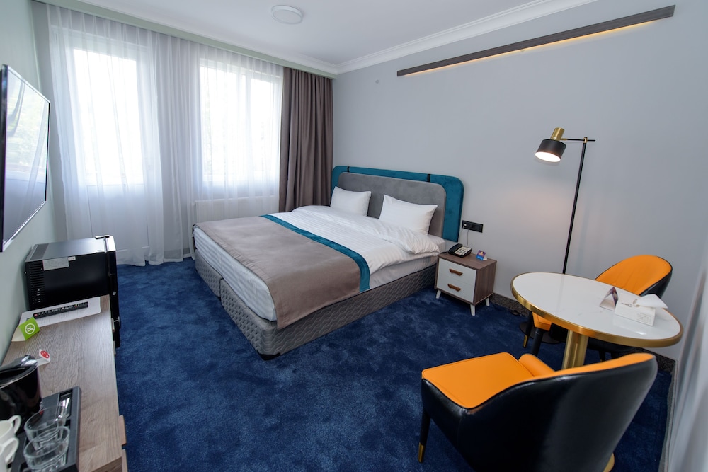 Executive Double Room, 1 Queen Bed, Accessible, Mountain View photo 1