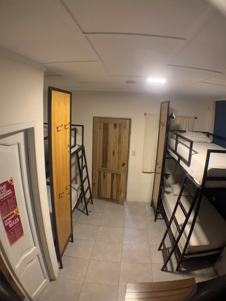 Shared Dormitory, Multiple Beds photo 2
