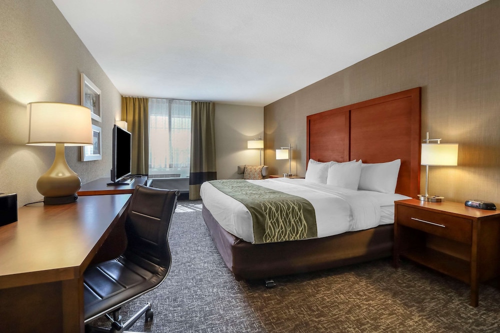 Standard Room, 1 King Bed, Non Smoking - Photo 2