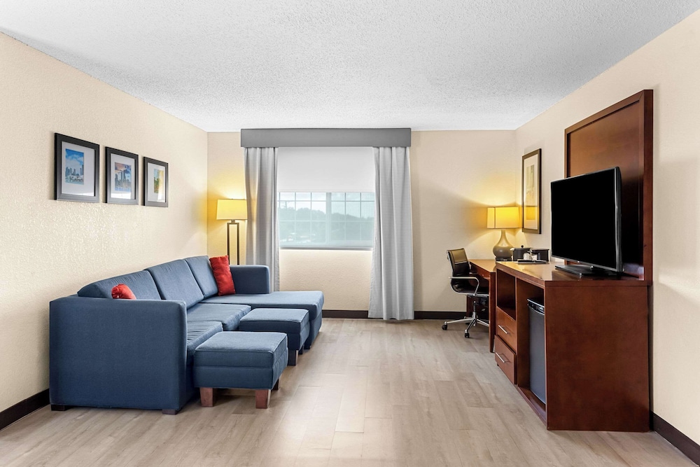 Suite - Photo 5