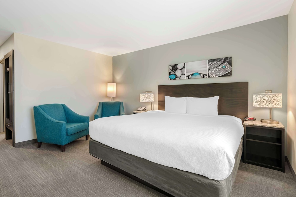 Standard Room, 1 King Bed, Accessible, Refrigerator & Microwave