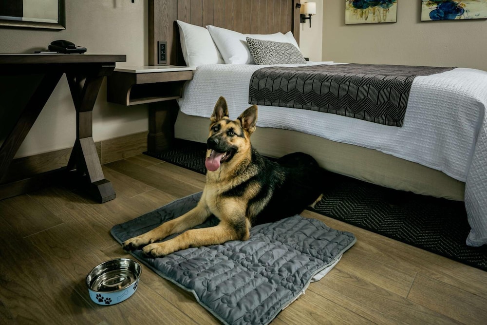 Deluxe Room, 1 King Bed, Oceanfront photo 1