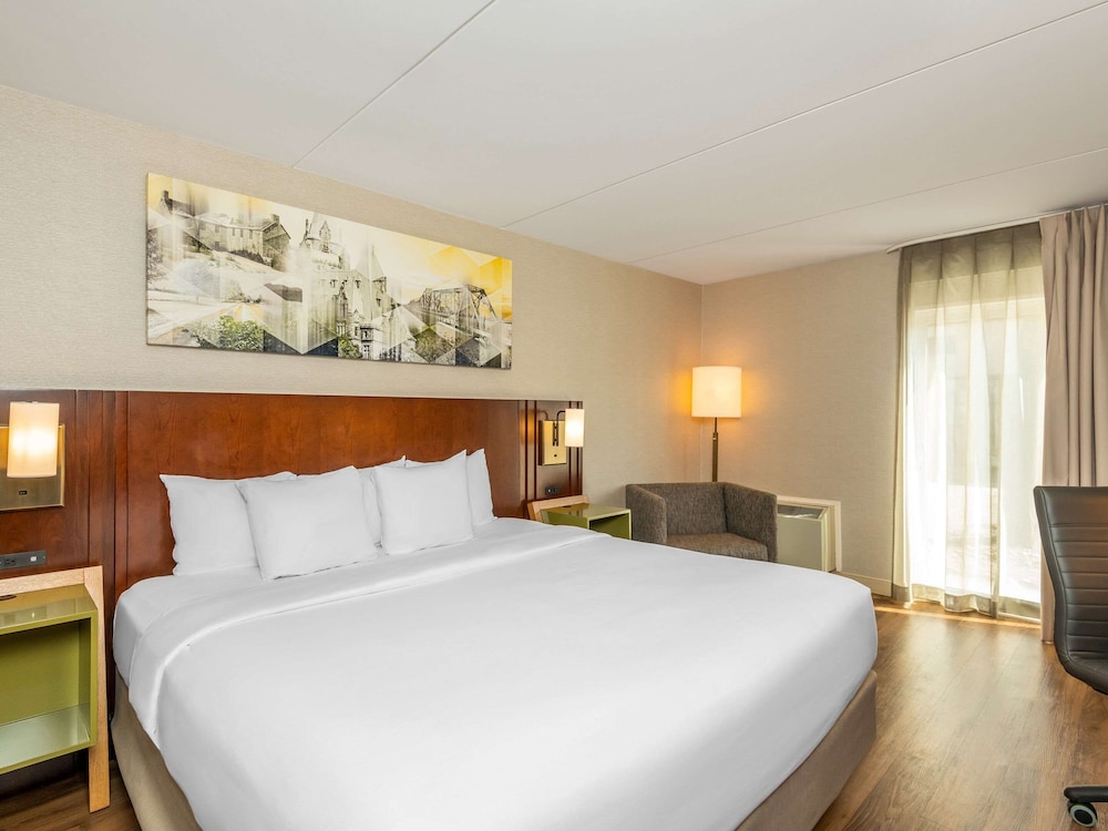 Room, 1 King Bed, Non Smoking (Pet Friendly) - Photo 3